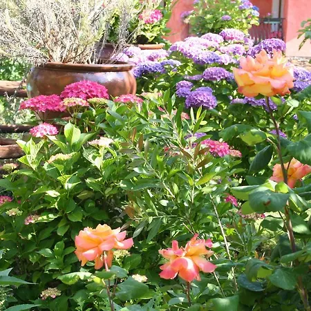 Sa Muvara Hotel 4*